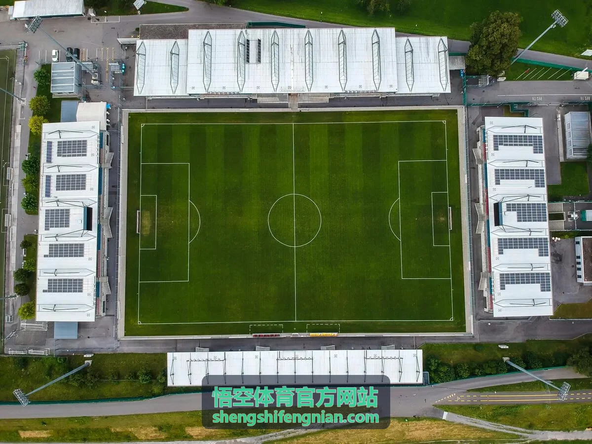 悟空体育官方网站企业职工运动会案例